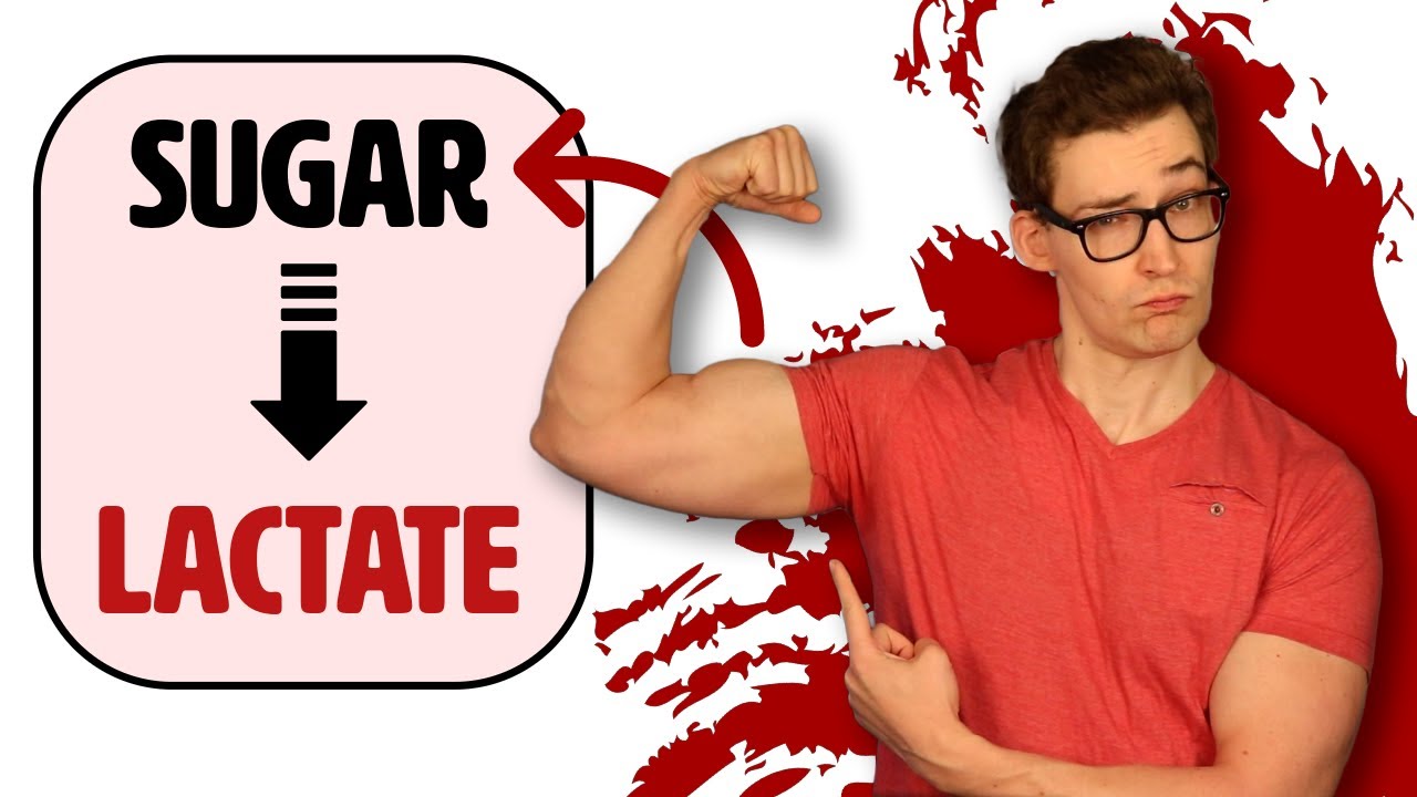 Lactate: The unsung Hero of Exercise [Study 234]