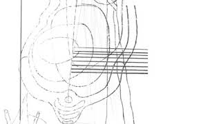 Gastr del Sol ~ Camoufleur (1998) [full album, FLAC]