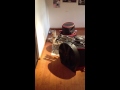 Este perro parece que le gusta el Blues 