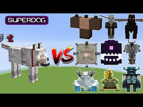 aishok - SuperDog vs All Minecraft Bosses,Wither Storm,Warden,Barako,SuperCat,Ferrous - Minecraft Mob Battle