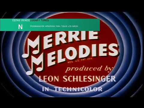 Piolin - El Ave y La Bestia (Birdy and the Beast)