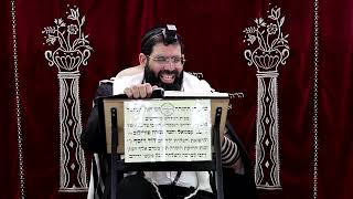 זבחים דף מ"ג ע''א ¤ הרב נתנאל אברז'ל ¤ בית הכנסת "בית מרדכי" (מוסדות תורת דוד) - התמונה מוצגת ישירות מתוך אתר האינטרנט יוטיוב. זכויות היוצרים בתמונה שייכות ליוצרה. קישור קרדיט למקור התוכן נמצא בתוך דף הסרטון