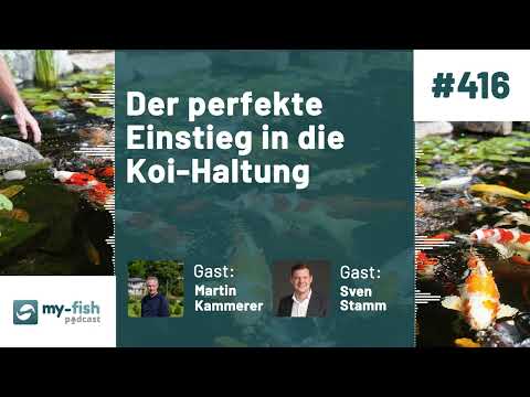 my-fish.org - The perfect introduction to koi keeping – knowledge from the experts (M. Kammerer &...