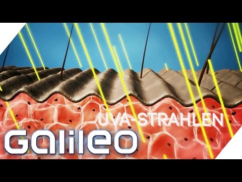 What makes a good sunscreen? | Galileo Lunch Break