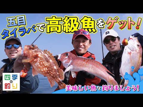 五目タイラバで高級魚をゲット!美味しい魚を釣りましょう!(四季の釣り/2023年5月19日放送)