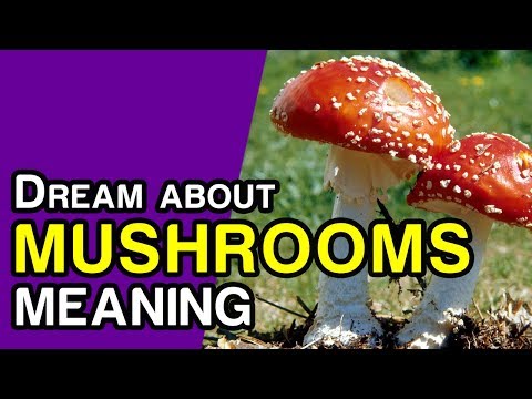 download lagu mp3 mp4 Mushroom Symbolism Meaning, download lagu Mushroom Symbolism Meaning gratis, unduh video klip Mushroom Symbolism Meaning