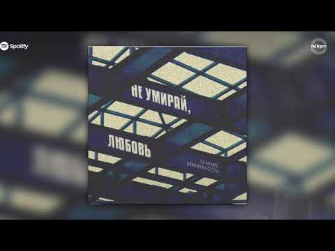 Shamil Mammadov - Не умирай, любовь