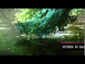 Kotonoha no Niwa - soundtrack 