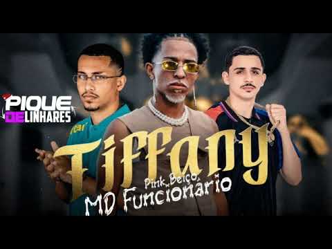 MD FUNCIONARIO - TIFFANY PESADÃO - DJ FILIPE MT & DJ NEGRINI feat. |Pink Beiço