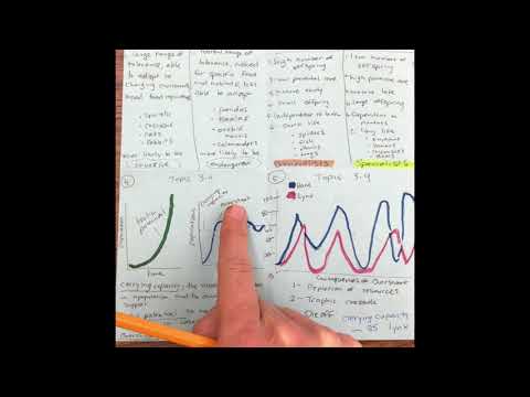 Unit 3 Focus Sheet