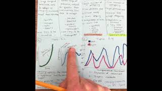 Unit 3 Focus Sheet