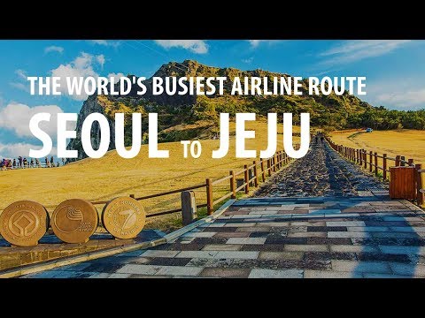 The World's Busiest Airline Route (2019)