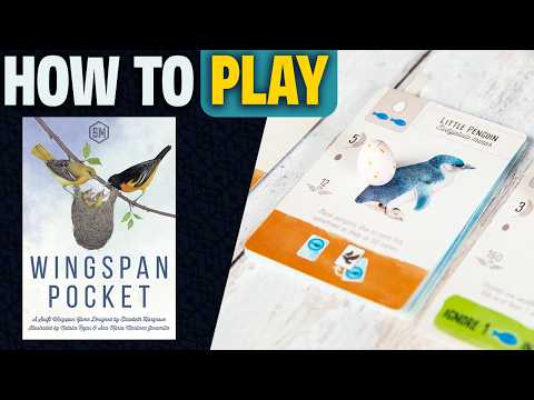 Wingspan Pocket