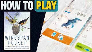 kovray - Wingspan Pocket video thumbnail