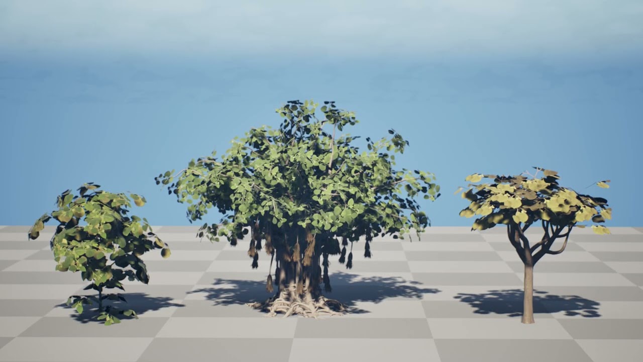 Collezione di fichi arabi di Socotran Modello 3D