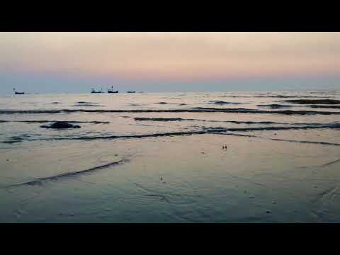 Sounds of the sea | Dahanu beach | 4K 30fps