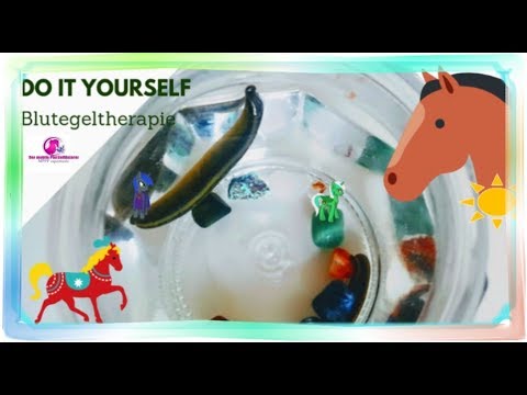 Do it yourself Blutegeltherapie für das Pferd bei chronischen   eventuell auch akuten Beschwerden