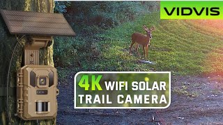 Is this Amazon Trail Camera Worth The Money? - VIDVIS 4K TRAIL CAM REVIEW