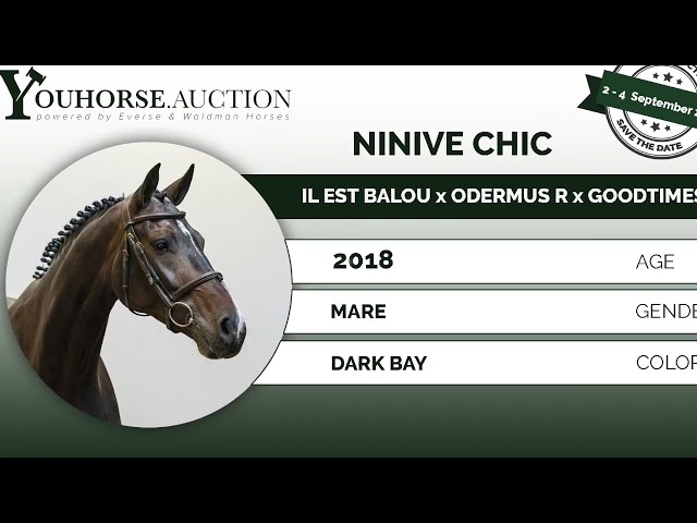 Ninive Chic @ show