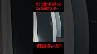 【ガチ】※画面右奥をよく見て※事故物件でガチで襲われた瞬間 #超閲覧注意  #心霊番組ゼロ #本物