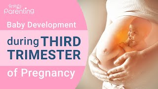 Your Baby's Growth and Development During 3rd Trimester of Pregnancy