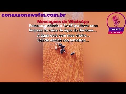 Denúncia de Moradores do povoado de Burduna sobre mau cheiro e abelha