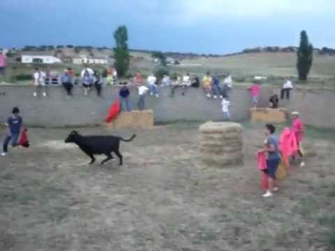 vaquillas villalba de los llanos 2010(2)