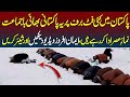 Pakistani Muslims Offering Prayers On Snow Barf Par Namaz Ada Ausaf Digital