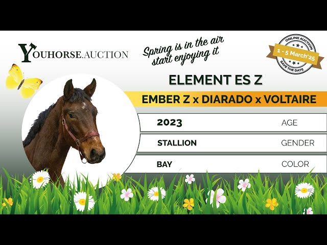 Element ES Z