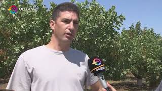 ΤΕΡΑΣΤΙΕΣ ΖΗΜΙΕΣ ΣΕ ΚΑΛΛΙΕΡΓΕΙΕΣ ΑΠΟ ΤΟ ΧΑΛΑΖΙ ΣΕ ΦΑΡΣΑΛΑ ΚΑΙ ΕΛΑΣΣΟΝΑ 13 06 2026 ΤΕΡΑΣΤΙΕΣ ΖΗΜΙΕΣ ΣΕ ΚΑΛΛΙΕΡΓΕΙΕΣ ΑΠΟ ΤΟ ΧΑΛΑΖΙ ΣΕ ΦΑΡΣΑΛΑ ΚΑΙ ΕΛΑΣΣΟΝΑ 13 06 2026