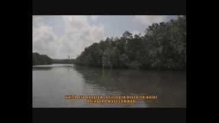 Download lagu Gone with the Tide h 264 HD part1 mp3 Download lagu Gone with the Tide h 264 HD part1 mp3