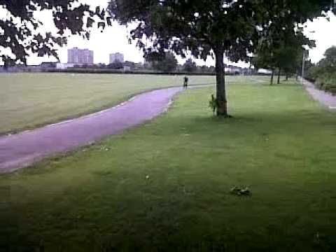 best skid in the world