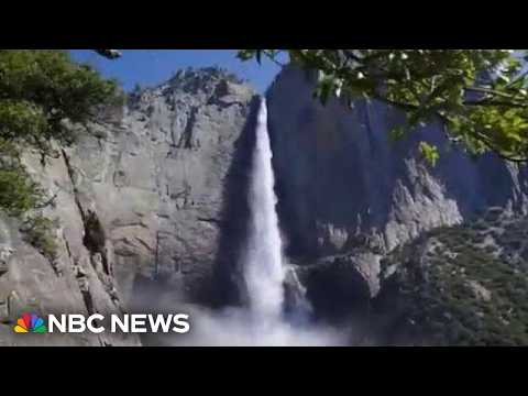 Videos show big crowds at Yosemite National Park as summer season picks up