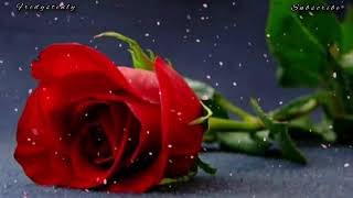 Download lagu Armada - Hal Terbesar Lyrics mp3