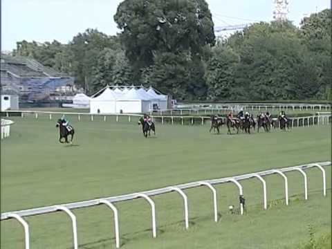 Premio Mario Incisa Della Rocchetta 2013  (GRUPPO 3)