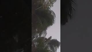 preview picture of video 'ভয়ংকর ঝড় নারিশা মন্দির পদ্মা নদীর পাড়'