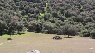 Maximo - Sitting in the Park