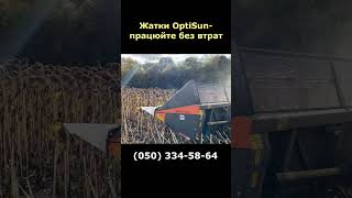 Testata per girasole Optig&eacute;p OptiSun nuova | Immagine 7 - Agroline
