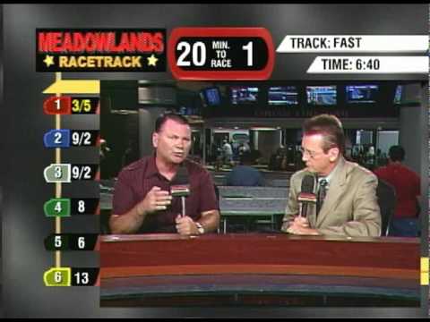 In The Sulky - Greg Peck 2010