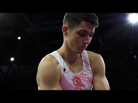 Gymnastics Worlds 2019: Men's Pommel Horse & Rings
