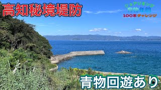 高知の秘境堤防で青物が回遊しています！【ショアジギング青物年間100本チャレンジ#130】