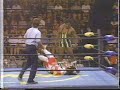 Jushin Thunder Liger vs. Sweet Brown Sugar [1995-12-25]