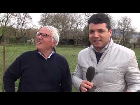 Sos Arezzo Tv - Arriva l'ordinanza per la messa in sicurezza delle palazzine abbandonate del Pionta