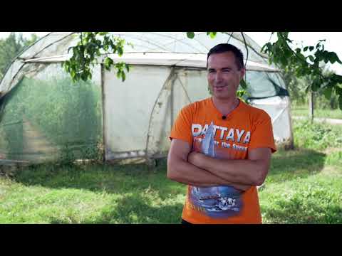 Naša priča ep. 313 19.08.2021. Milorad Panić, Višnjićevo, povrtarstvo, Aleksandra Kostić, kozarstvo