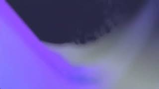 Plain White T&#39;s - Pet Sematary