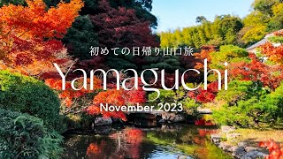【初めての山口日帰り旅】唐戸市場でお寿司を楽しむ | 老舗菓子店「松琴堂」の茶房「風舞」で和菓子作り体験 | 長府庭園の紅葉 | 下関の隠れ家カフェ | JALトラベルレポーター