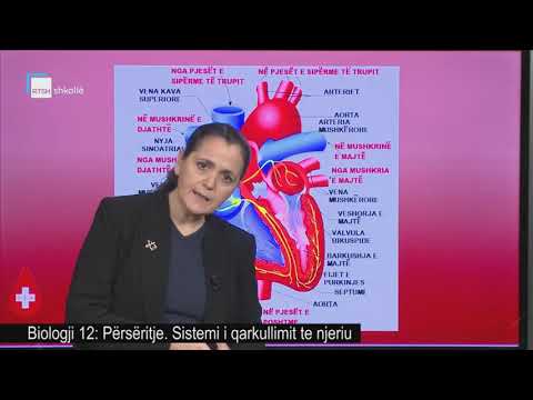 Biologji 12 - Përsëritje. Sistemi i qarkullimit te njeriu.