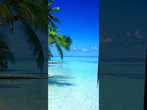 Adrian Minune & Lepra Berna  - Ghici Ghici REMIX