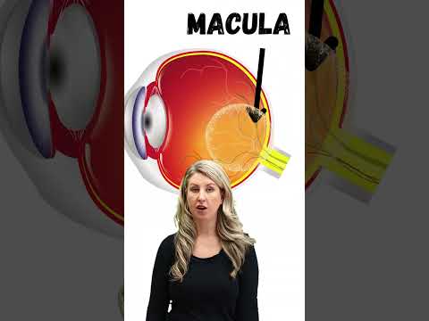 ️Vitamin B1 Thiamine vs Benfotiamine STOP Chronic Pain