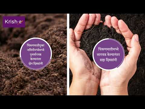 Maitreya Bapat Marathi Agricultural VO for Krish-e app